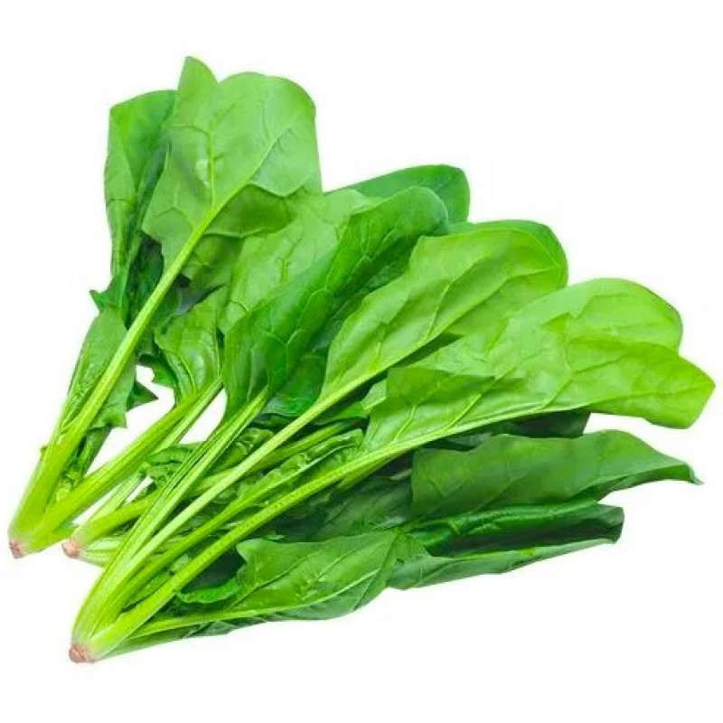 Luscious Spinach Leaves Fresh, Organic, Hydroponically Grown Order Now!